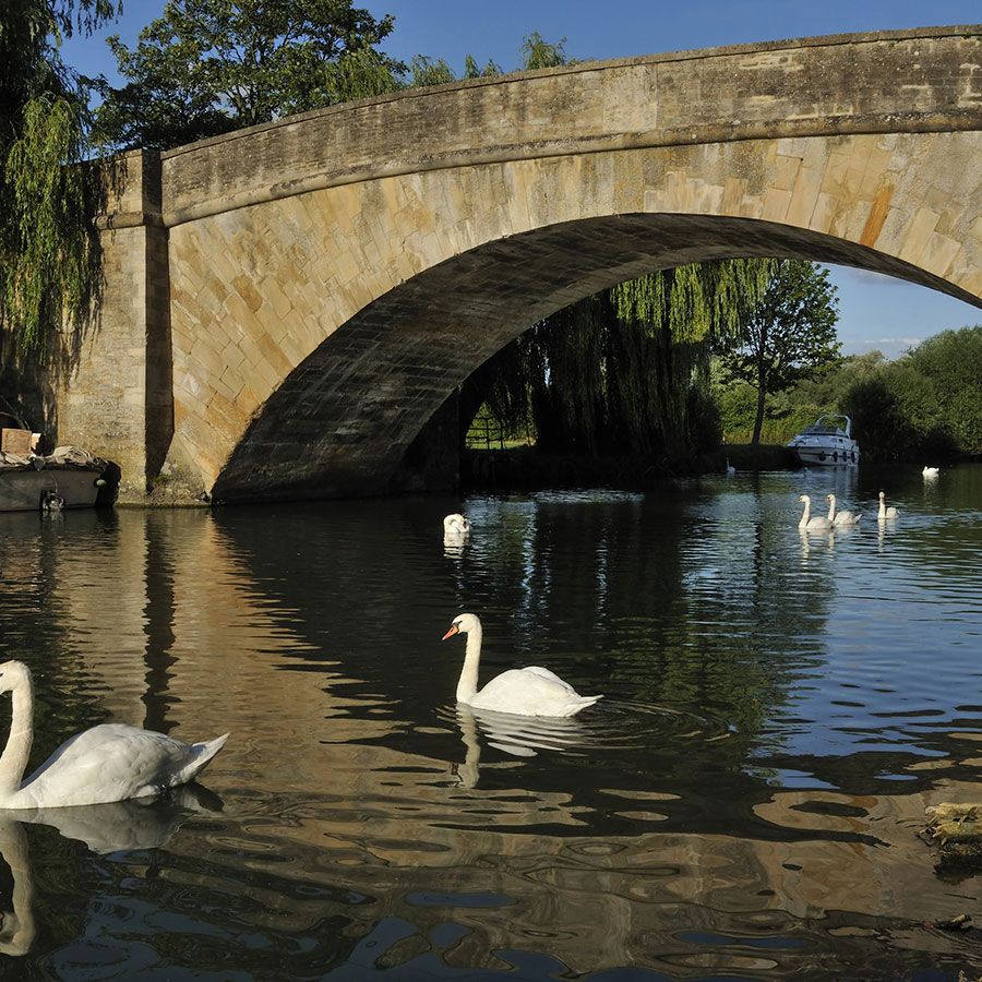 We are located in Lechlade